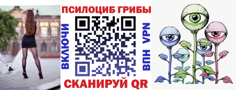 Псилоцибиновые грибы мицелий  Белокуриха 